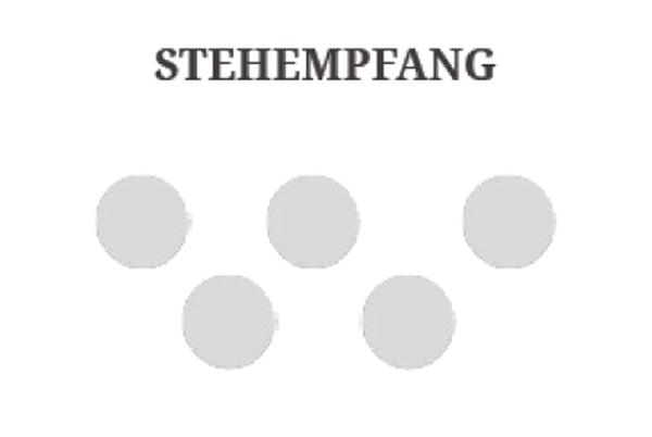 Stehempfang